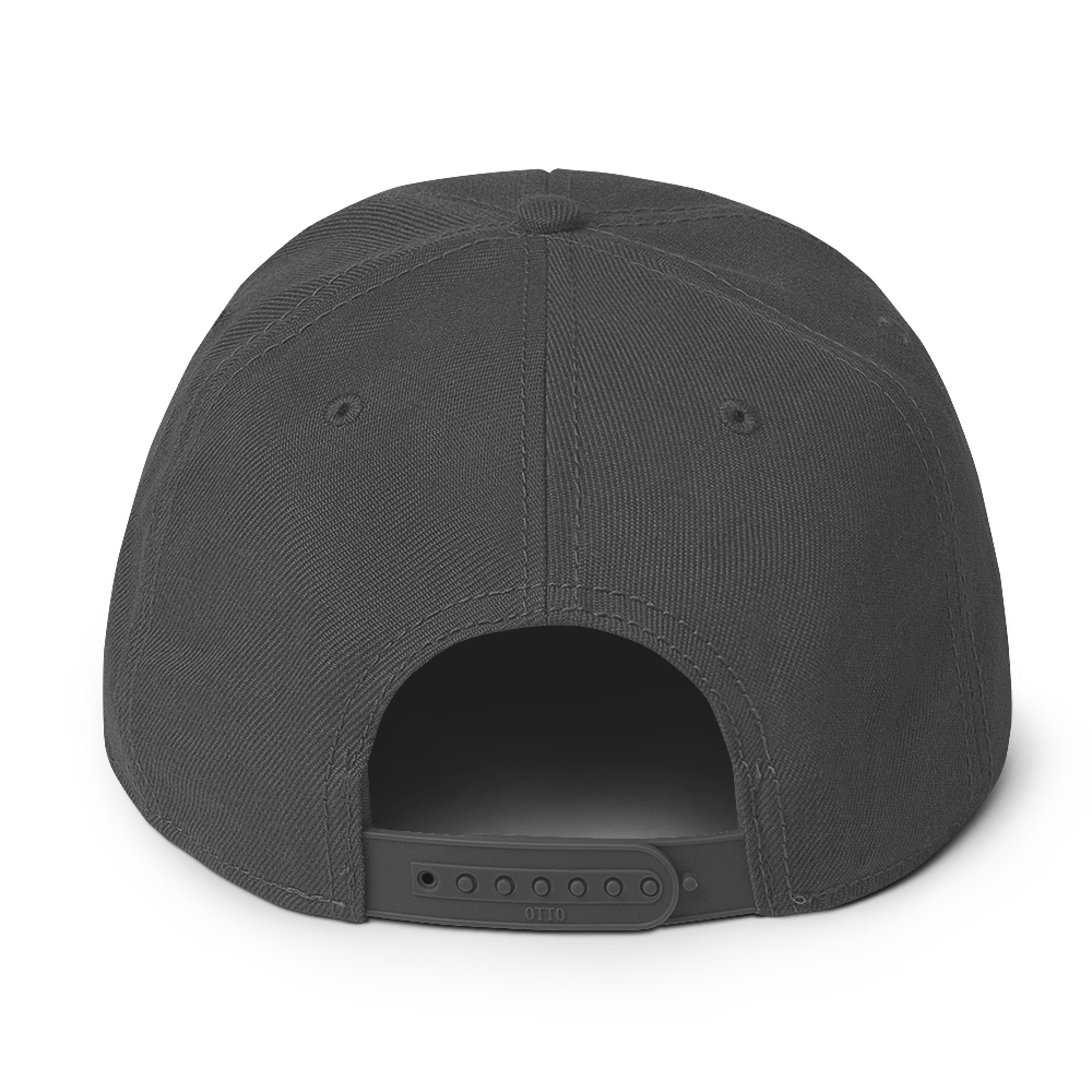 mountain moon snapback