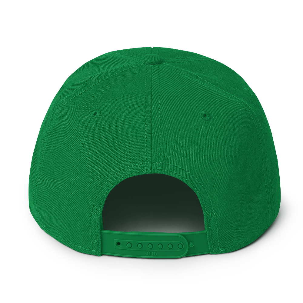 mountain moon snapback